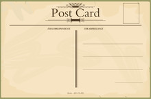 Blank Vintage Postcard