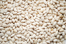 Background Of Great Northern White Beans