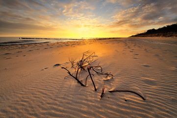 Fotomurali - Morze, piękna plaża o wschodzie słońca
