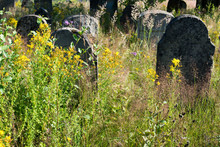 Old Abandoned Jewish Cemetery In The Ukrainian Carpathians