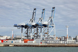 Fototapeta Sawanna - Container Terminal
