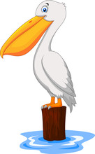 Cartoon Pelican In The Bay