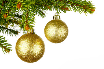 christmas tree branch with ball