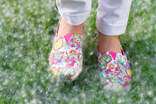 Foot On Grass With Cottonwood Fluff Background