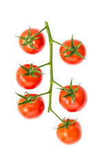 Sticker - Tomato isolated on white