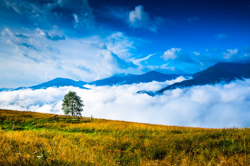 Wall Mural - amazing mountain landscape with fog and a haystack