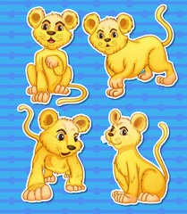 Poster - Lion set