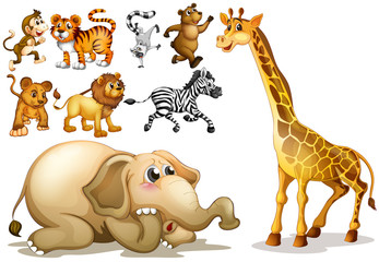 Wall Mural - Animals set