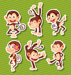 Canvas Print - Monkeys set