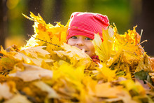 Little Girl Playing With Autumn Leaves
