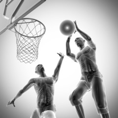 Wall Mural - basketball game player radiography image