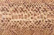 Brown snake pattern imitation, background