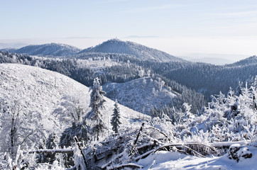 Wall Mural - Winter landscape in the hills