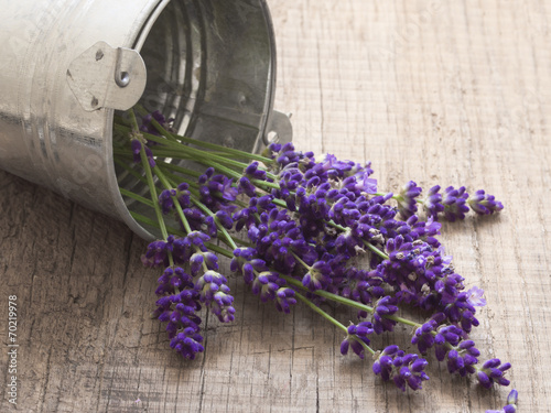 Naklejka na szybę lavender spa flowers