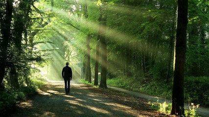 Wall Mural - man walking in lane toward the sunlight.