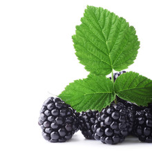 Fresh Blackberry With Green Leaf On White Background