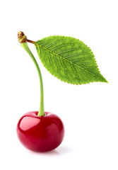 Canvas Print - Cherry with leaf  close-up.