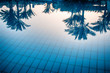 Reflections of palm trees in a swimming pool