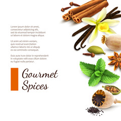 Wall Mural - Spices on white background