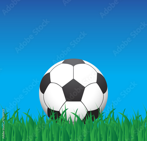Cuadros en Lienzo soccer ball on a grass