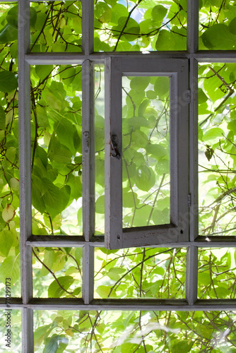 Naklejka na kafelki window to the summer