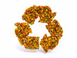 3d Autumn recyclation symbol