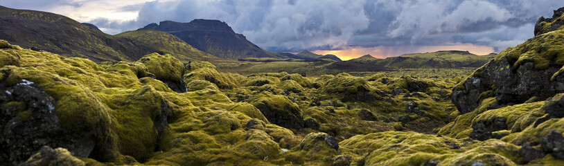 surreal landscape with wooly moss at sunset in iceland