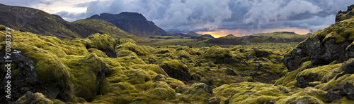 Fotografía Surreal landscape with wooly moss at sunset in Iceland