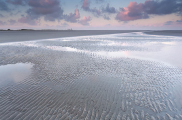 Wall Mural - low tide on North sea beach