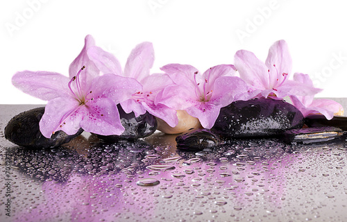 Naklejka dekoracyjna flowers and black stones with reflection