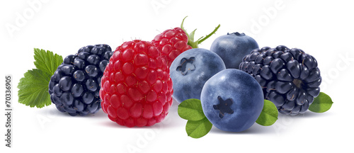 Naklejka - mata magnetyczna na lodówkę Forest berries isolated on white background