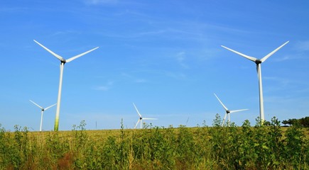 Wind park