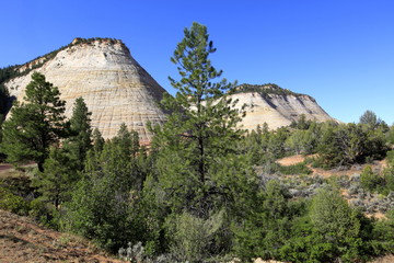 Wall Mural - Checkerboard Mesa , Zion