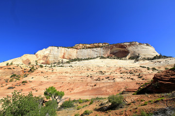 Canvas Print - Zion national Parc