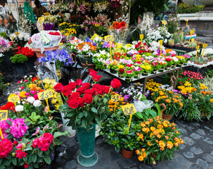 Wall Mural - Street flower shop with colourful flowers