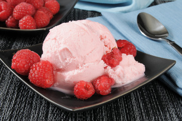 Wall Mural - Frozen raspberry yogurt