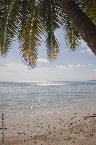 Tropical Paradise Beach Beach No5 Havelock India Buy