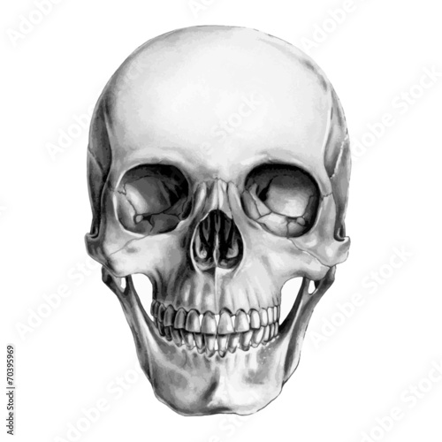 Naklejka nad blat kuchenny Human Skull