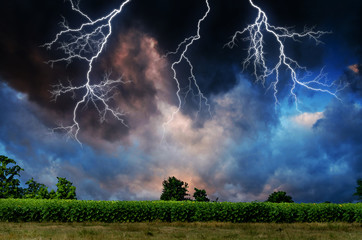 Wall Mural - thunderstorm with lightning.