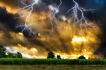Wall Mural - thunderstorm with lightning.