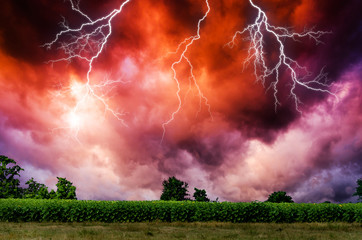 Wall Mural - thunderstorm with lightning.