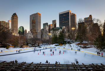 Wall Mural - Ice skating in New York City