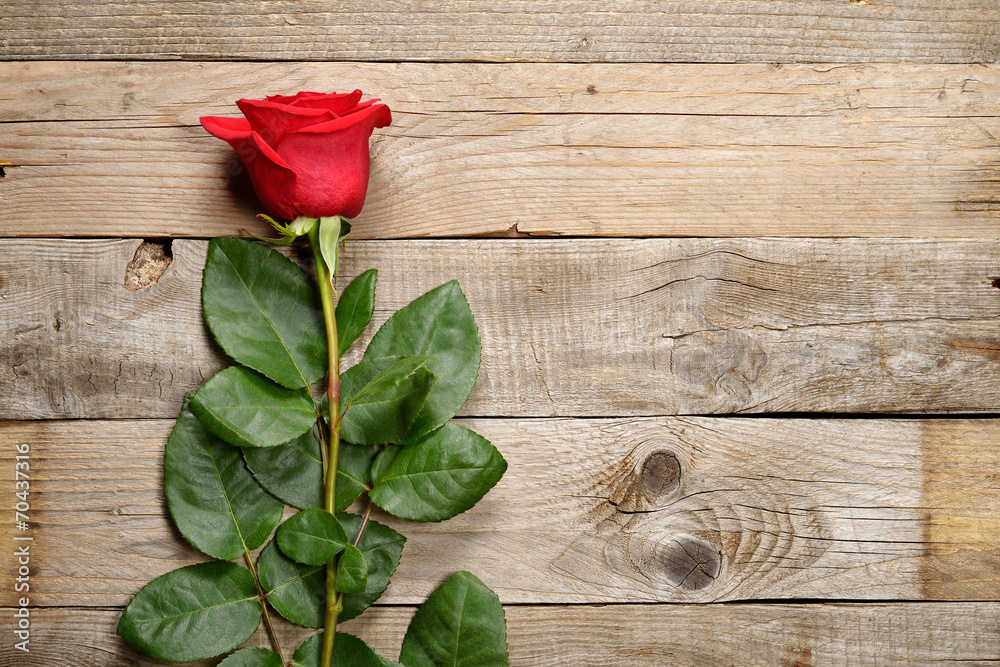 Red rose on old wooden background - obrazy, fototapety, plakaty 