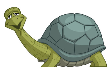 Turtle