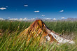 © berzina - USA - geyser
