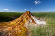 © berzina - USA - geyser
