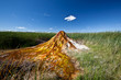 © berzina - USA - geyser