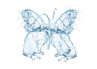 Wall Mural - Butterfly water splash, isolated on white