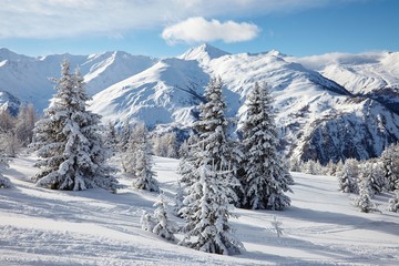 Wall Mural - Winter Landscape