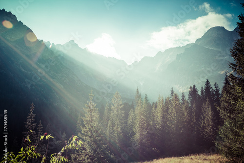 widok-na-tatry-z-wedrowek